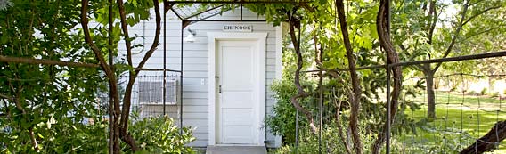 Chinook Wines grape arbor